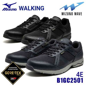 ~Ym/MIZUNO@B1GC2501@LD AEh4 SW GTX@(22.0`27.5cm)@4E@iO[lCr[EubNj@GORE-TEX@~YmEF[uځ@h@EH[LOV[Y@WALKING@jZbNX