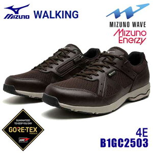 ~Ym/MIZUNO@B1GC250358@LD AEh4 SW GTX@(24.5`27.5cm)@4E@_[NuE@GORE-TEX@~YmEF[uځ@h@EH[LOV[Y@WALKING@Y