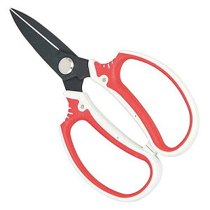 y[֑Ήzg@SGP-30@fB[XA@ؐؒfڈF8mm@@Y