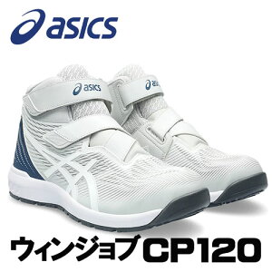 AVbNX/ASICS@1273A062.020@EBWu@CP102@OVAO[×zCg@(25.0cm`30.0cm)@ƌC@SC
