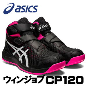 AVbNX/ASICS@1273A062.001@EBWu@CP120@ubN×zCg@(22.5cm`30.0cm)@ƌC@SC