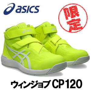 yJ[zAVbNX/ASICS@1273A062.750@EBWu@CP120@Z[teBCG[×zCg@(22.5cm`30.0cm)@ƌC@SC