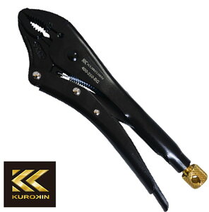 FUJIYA/tW@400-250-BG@bLOvC[@ij@KUROKIN