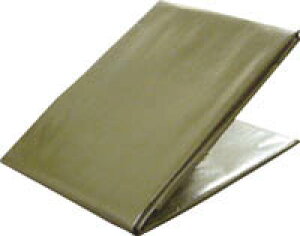 HƁ@TPOD3654@#3000@^[s[ODO[V[g@3.6m×5.4m@@R[hi3517314j