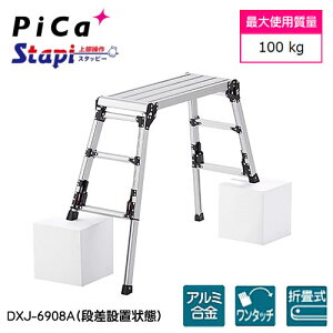 y@lzyszsJ/PiCa@DXJ-6908A@lrAWXg@(㕔^Cv)@X^bs[ DXJ V[Y@V̍F0.60`0.91m@yԎwsz