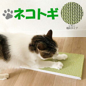 ybgAhoX@߂Ƃ@lRgM@e߃^Cv (^F) @lR@܂Ƃ@yԕisz