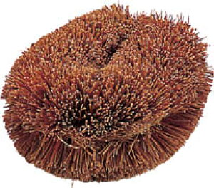 ☆TRUSCO/トラスコ中山 TWL ナチュラルブラシ「いがぐり君」 170mm   (1769766)