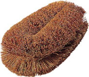 ☆TRUSCO/トラスコ中山 TWS ナチュラルブラシ「いがぐり君」 110mm  コード(0043214)