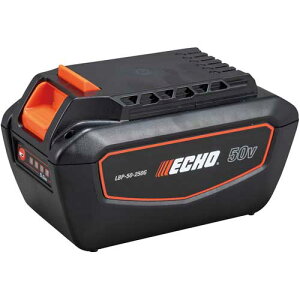 �y�@�l�����z���V�_�C���^ECHO�@LBP-50-250G�@50V���`�E���C�I���o�b�e���[2P�@��e��2P�o�b�e���[�@�y������s�z�y�����w��s�z