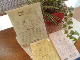 メール便限定！送料無料糾励根シート(漢方しっぷ薬専用シート) Mサイズ(10枚入)きゅうれいこんシート