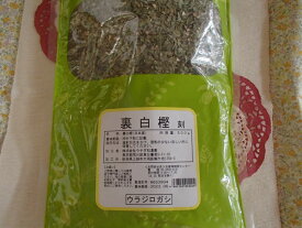 【5個セット】裏白樫・刻　500g×5袋　ウチダ和漢薬【特選生薬】【国産生薬・健康食品】（うらじろがし・ウラジロガシ）