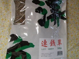 連銭草　寸切り 500g×1袋小島漢方（れんせんそう・カキドオシ）中国産