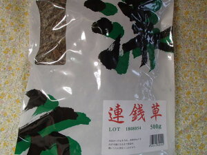 �A�K���@���؂� 500g×1�܏��������i��񂹂񂻂��E�J�L�h�I�V�j�����Y