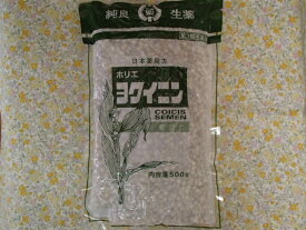 ※ゆうパケット発送※ヨクイニン（堀江）500g×1袋　ラオス産【よくいにん・ヨクイニン】【はとむぎ】