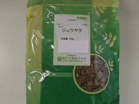 十薬 　寸切　500g×2【堀江生薬】じゅうやく/ジュウヤク【第3類医薬品】【日本産】