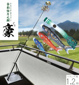 ̂ڂ ʌV  v~Ax_X^hZbg 1.2m OEƖEԌΉ îڂ x_p H [߂̐ߋ ǂ̓  05-k-43