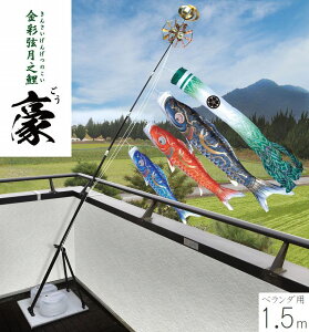 ̂ڂ ʌV  v~Ax_X^hZbg 1.5m OEƖEԌΉ îڂ x_p H [߂̐ߋ ǂ̓  05-k-44