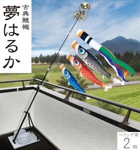 ̂ڂ ͂邩 v~Ax_X^hZbg 2m OEƖEԌΉ îڂ x_p H [߂̐ߋ ǂ̓  05-k-48