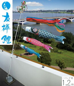 ̂ڂ FT 1.2m EFCgZbg x_p îڂ x_p [߂̐ߋ ǂ̓ ߋ j̎q  05-k-73