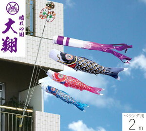 ̂ڂ  2m t@~[Zbg x_p îڂ [߂̐ߋ ǂ̓ ߋ j̎q i  05-k-96