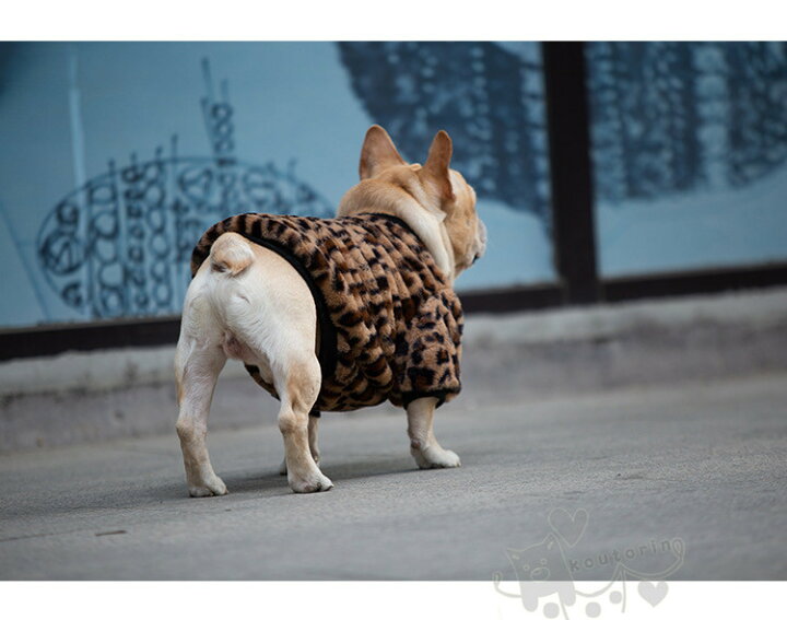 楽天市場 ペット 犬服 猫服 秋冬 ふわふわ 小型犬 中型犬 アウター 犬の服 可愛い ヒョウ柄 ジャケット 暖かい 防寒 ドッグウェア 防風 あたたかい チワワ服 猫服 お散歩 Koutorin