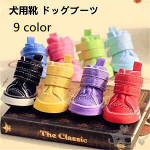  pC hbOu[c ̃u[c hbOV[Y ʋC _炩 h ی ₷ ybgp v U ~ K  ̉h~ ybgV[Y 4 