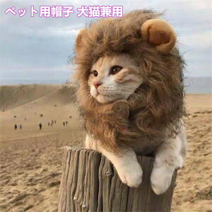 ライオン コスプレ 犬用品の人気商品 通販 価格比較 価格 Com ライオン コスプレ 犬用品の人気商品 通販 価格比較 価格 Com