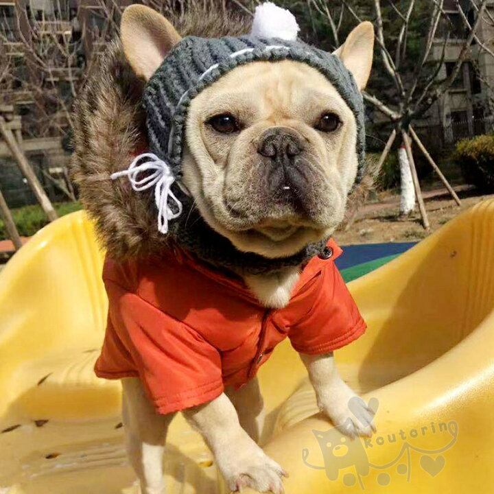 楽天市場 犬のニット帽 ポンポン 暖かい ペット 犬 ニット帽 防風 帽子 冬 ペットソフト 快適なペット ニット帽 かぎ針編み ニットウール キャップ ソフトペットハット 暖かい 犬用 屋外を歩く 寒さを防ぐ 防風 送料無料 Koutorin