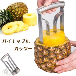 pCibvJb^[ [ XeX pCibvXCT[ ނ ʕ 甍@ ֗ Lb`pi ƒp 