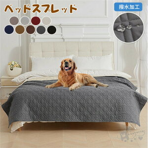 xbhXvbh xbhJo[ V[c VO k _u Z~_u ybg L΍ hV[c IV NC[TCYLg }bgXJo[ }`Jo[ n h H 