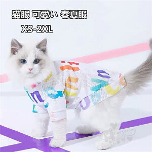 L ybg TVc hbOEFA    ʋC N[ tĕ іh~ LpRX`[  U o XS-2XL 