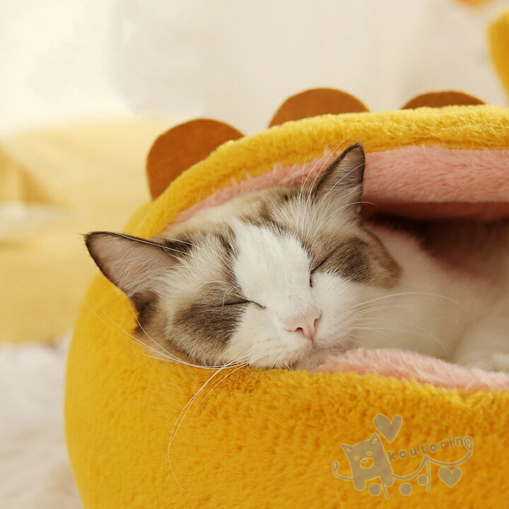 楽天市場 ペットベッド ペット用品 超可愛い 猫ベッド ペットベッド 小中型犬 猫ハウス ドーム型 可愛い 暖かい 寝袋 ドックベッド 四季 室内 ペットハウス ふわふわ ペットマット 保温 防寒 冬用 送料無料 Koutorin