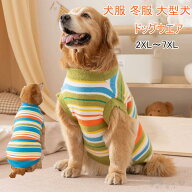 犬服冬服 セーター ドッグウエア カットソー 大型犬 ラブラドール ゴールデン レトリバー ストライプ 冬…