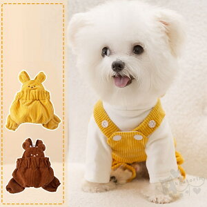 ~ hbOEGA R[fC CG[ uE Tybg gbvX ^ Ί rV efBv[h ~  IV  ۉ ΍ _炩 h