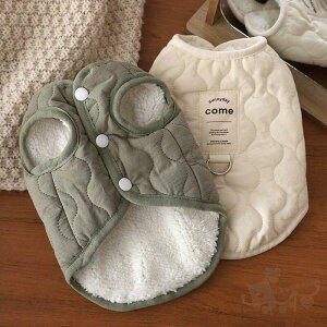 ~ hbOEGA xXg zCg O[ gbvX ^  N rV efBv[h ~  IV  ۉ ΍ _炩 h