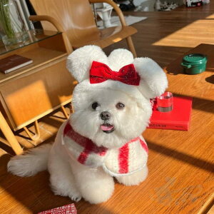 p Lp NX}X `FbN XJ[g }g ybg V[ p LpXq ybg NX}X J`[V 킢 NX}X giJC T^ p[eB[ j RXv