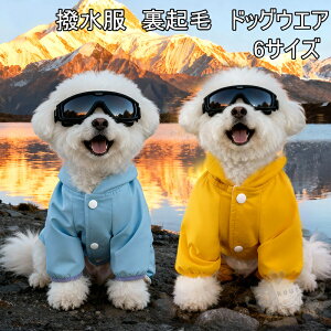 p ybgp  WPbg p[J[ t[ht ۉ  N Oo hbOEFA h pi AEg g[i[ XS~XXL