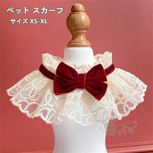 p Lp ybg XJ[t ֏ y _炩  ybgpi  j ʐ^Be a p[eB[ U o LOpiXS-XL 