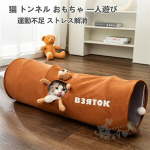 L gl L gl ܂肽  lV ^s LbggC ybgߋ LV lC v ybgpi [֗ 