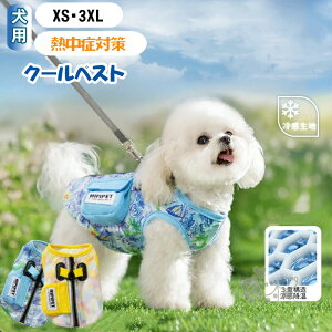  N[xXg MǑ΍ N[xXg pĕ N[xXg ⊴ pxXg n[lX CM Ђ ʋC ^ ėp  [ht hbOEFA ΍ O