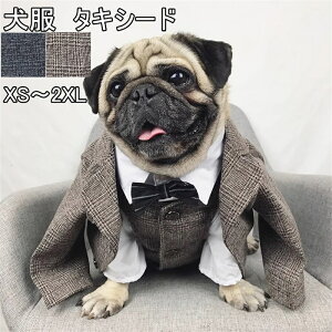  ybg ybg ybgp L^LV[h X[c lN^Ct  EGfBO am RXv Vcǉ j LO p[eB[  hbOEFA XS~XXL Vcǉ p