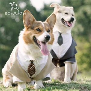  ybg ybg ybgp  ^  EFfBO j p[eB[  nXL[ R[M[ ČhbOEFA ^LV[h VY lN^C lbNXt U o