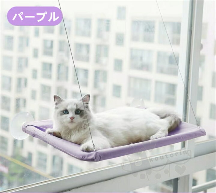 原因 キャッシュ 聖書 Amazon ハンモック 猫 厳 順応性のある 膨らませる