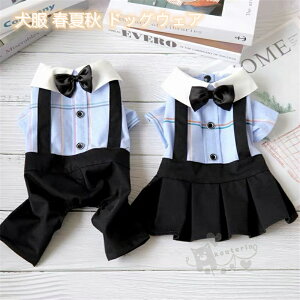  tďH hbOEFA  Ȃ ^ ^ _炩 Uo LOBe tVc m RX`[ p[X