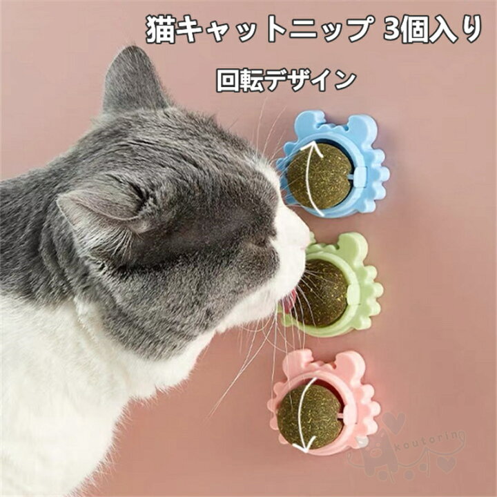 シーズーはなぜ舐めるのですか？