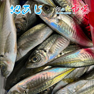 Ɩp n 5kg i1120~200gjY AW 