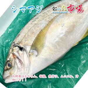 {BV}AW Y 1 1~1.2kg    ϕt jG `