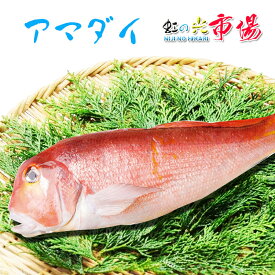 アマダイ 1尾 約1.5〜1.8kg 鯛 たい 赤尼鯛 赤甘鯛 甘鯛 海水魚