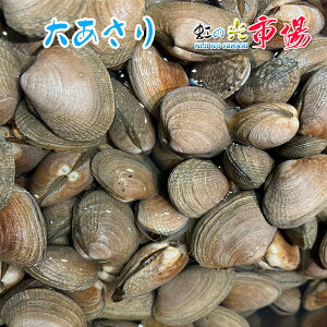 yIdzAT 500g  kC  kt X` o^[Ă ①  CN hV̓ ̓ ̓ 蕨 BBQ o[xL[ lĂ