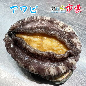 Y  Ar 1kg(6`10) Ar  o[xL[@L